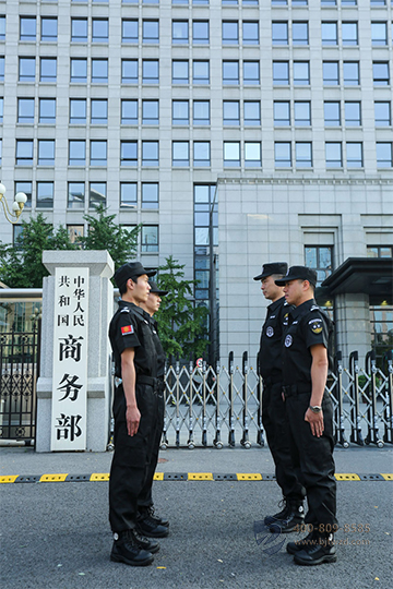 zhuqin17