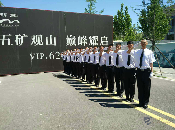 zhuqin8